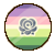 Greyrose / Greyaroace