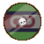 Necromancer + Revived