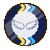 Nonfunctional Angel Wings