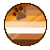 Orange Cat