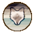 Divinestray