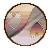Livingplushgender