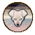 Divinemutt