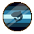 Sharkgender