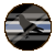 Corvidgender