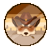 Coypoke