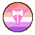 Lesbian Who Likes Men