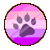Bimbopupgender
