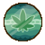 Weedpunk