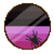 Xenesthis