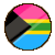 Pansexual Demiromantic