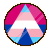 Trans Ally