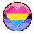 Panromantic Omnisexual