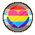 Panromantic Homosexual Demiboy