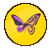 Bug Gynandromorph Intersex